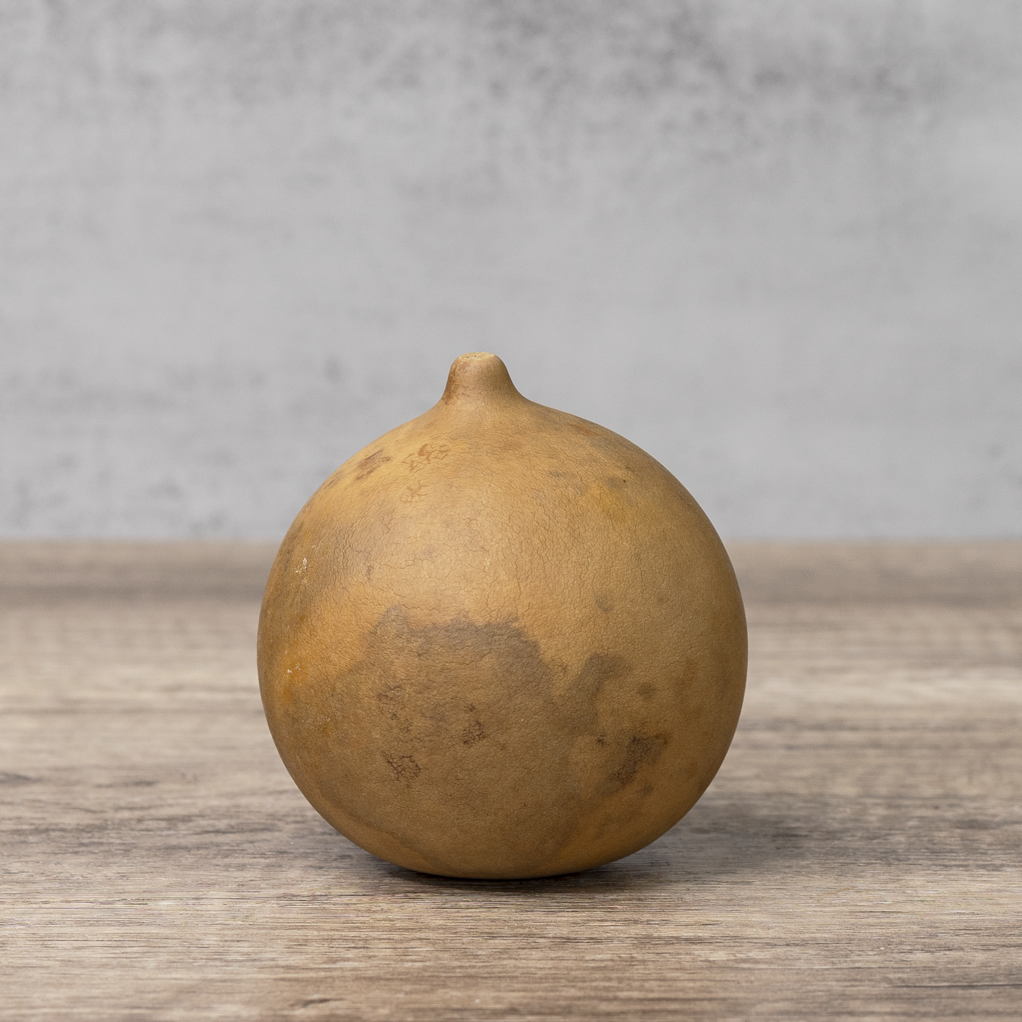 Dried Cannonball Gourd - 3" Diameter