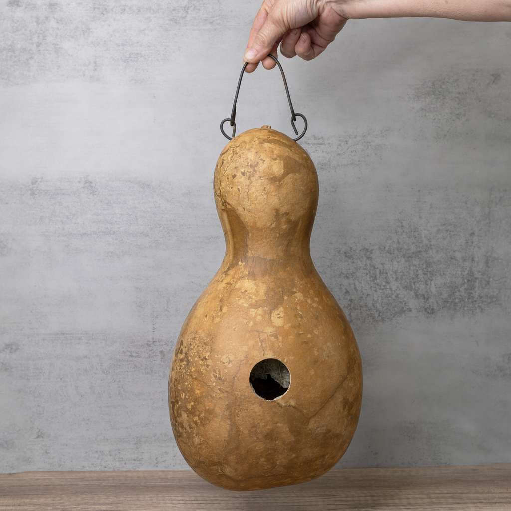Dried Birdhouse Bungalo Gourd