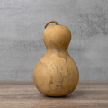 Dried Bottle Gourd  -  5" in Diameter