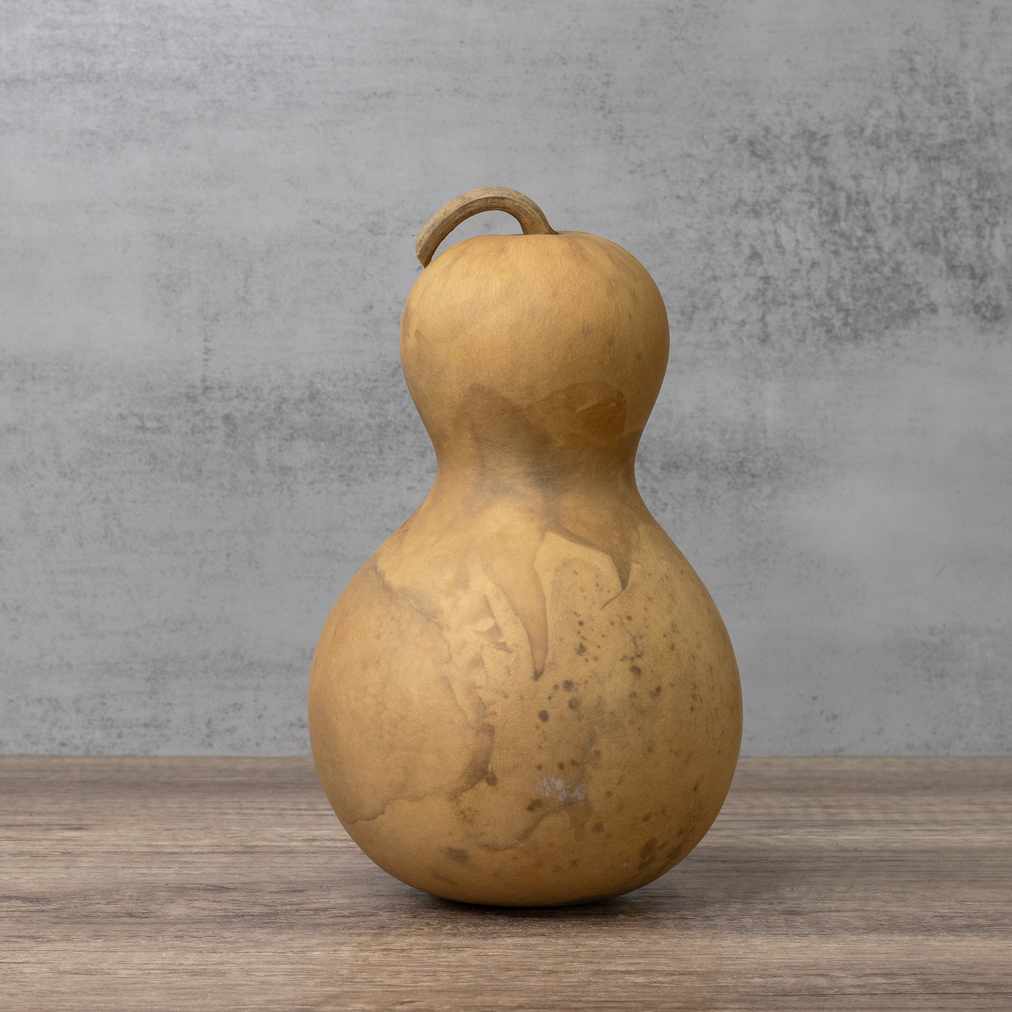 Dried Bottle Gourd  -  5" in Diameter