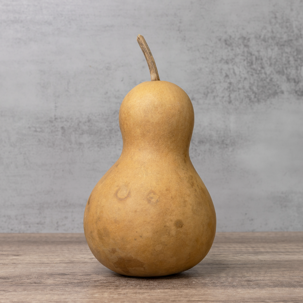 Dried Bottle Gourd  -  5" in Diameter