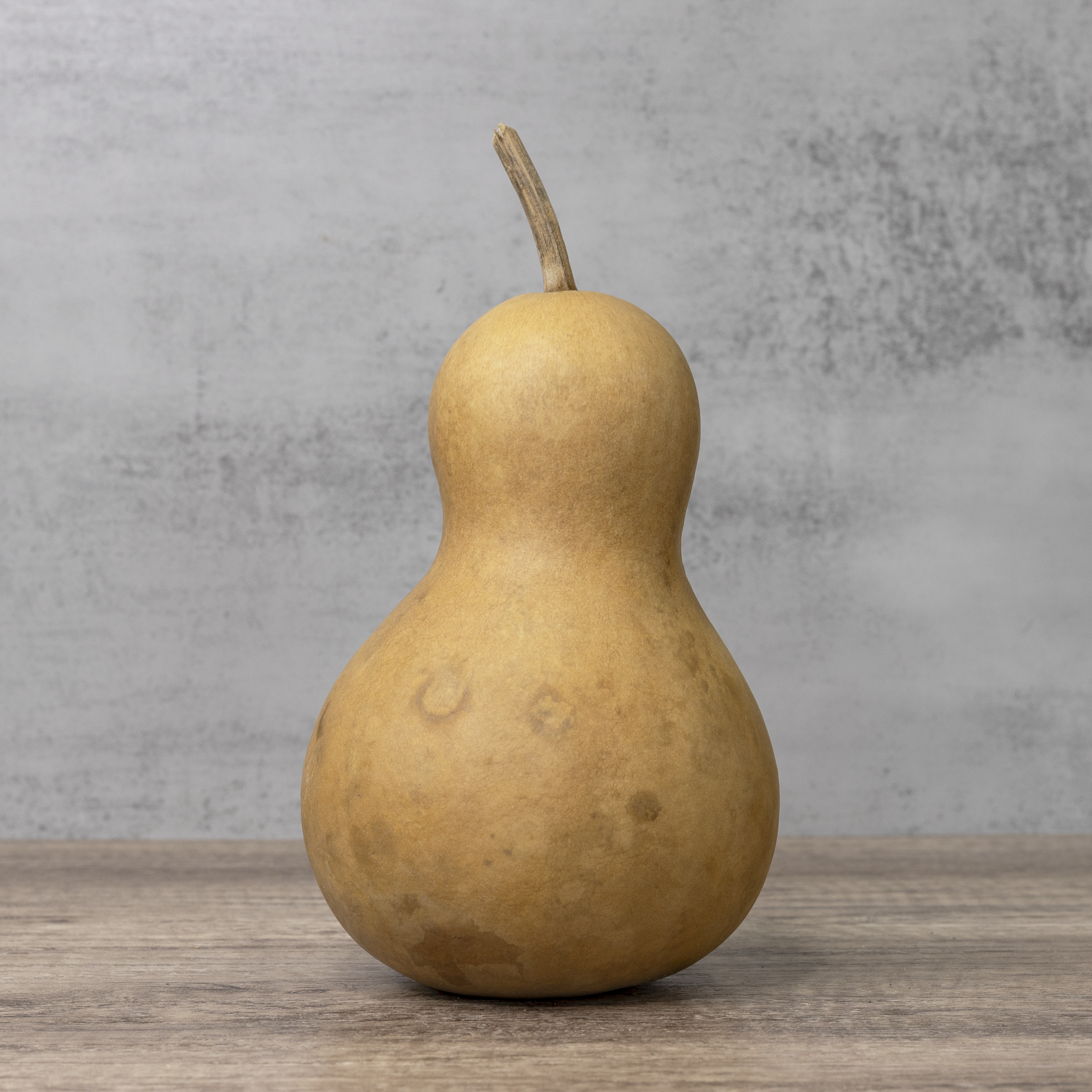 Dried Bottle Gourd  -  5" in Diameter