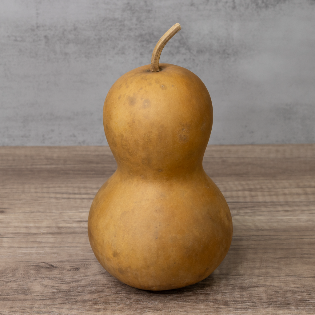 Dried Bottle Gourd  -  5" in Diameter