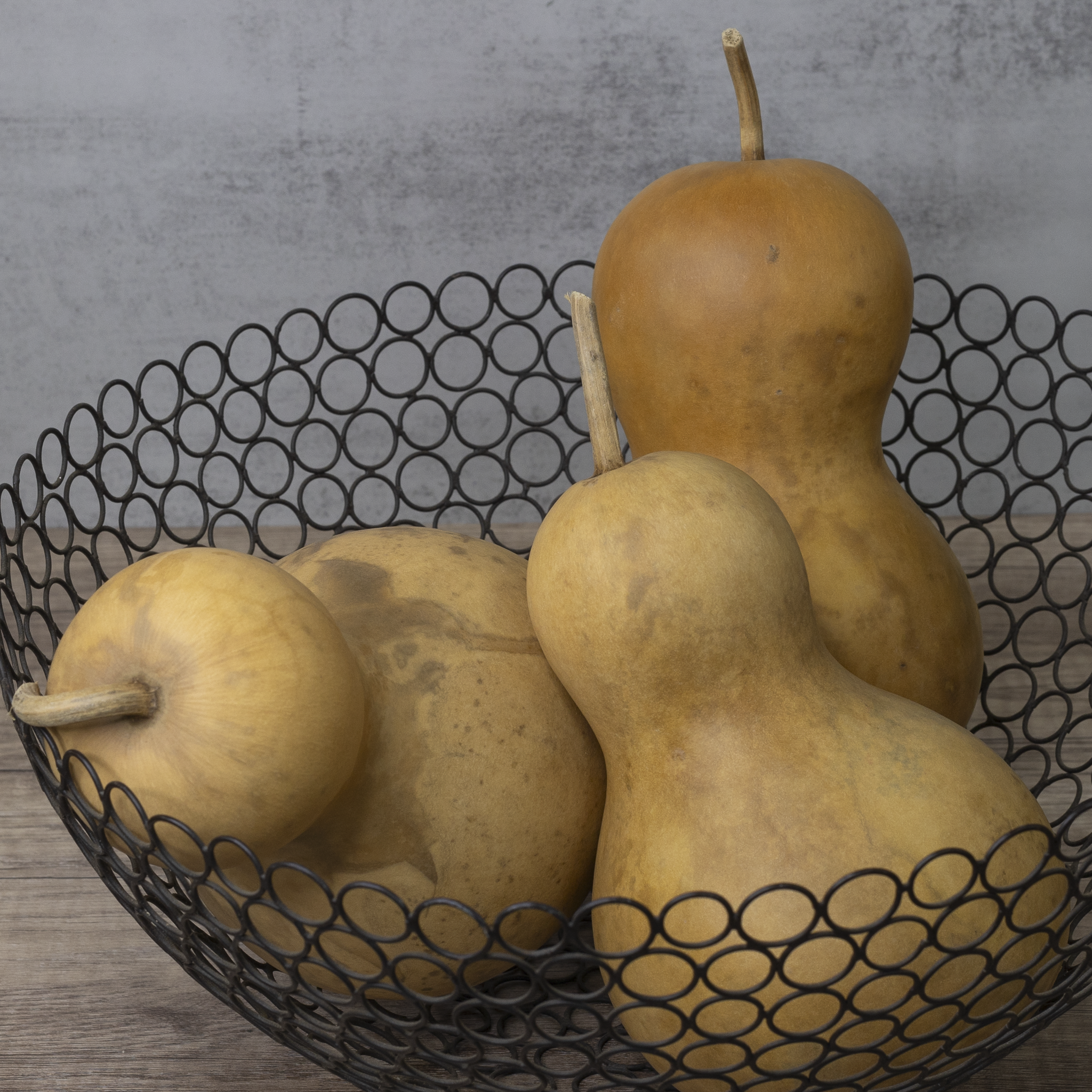 Dried Bottle Gourd  -  5" in Diameter