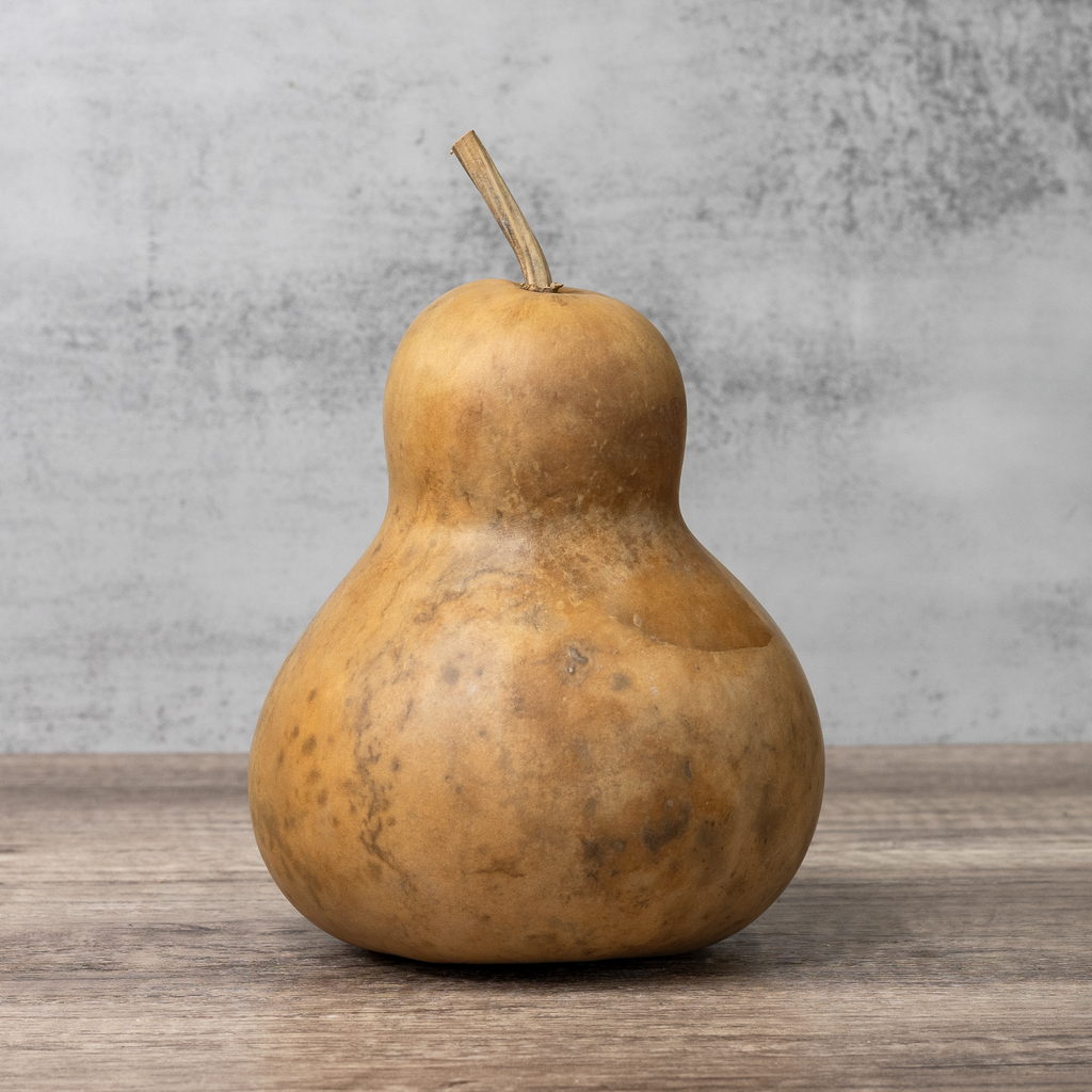 Dried Bottle Gourd - 6" in Diameter