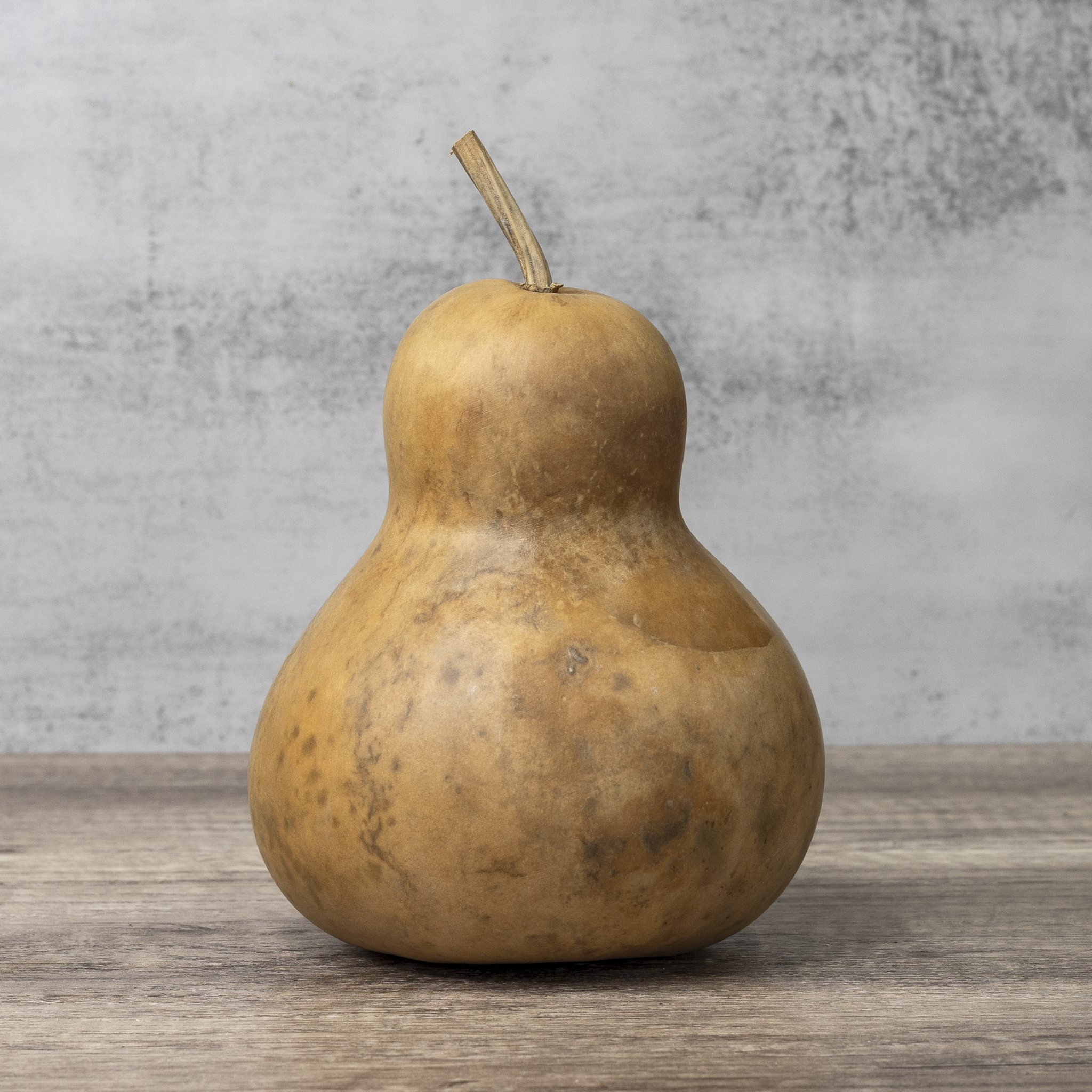 Dried Bottle Gourd - 6" in Diameter