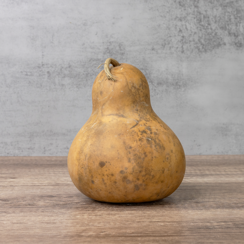 Dried Bottle Gourd - 6" in Diameter