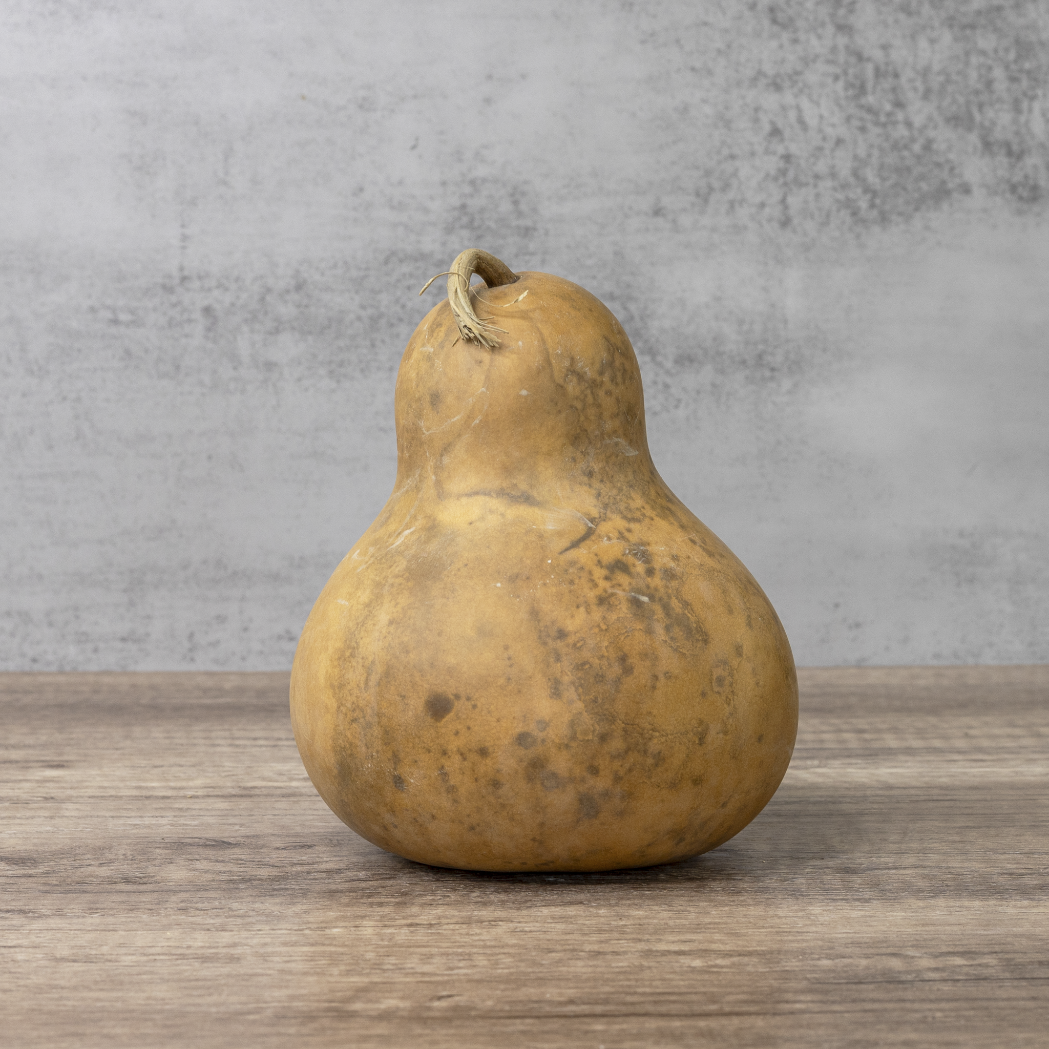Dried Bottle Gourd - 6" in Diameter
