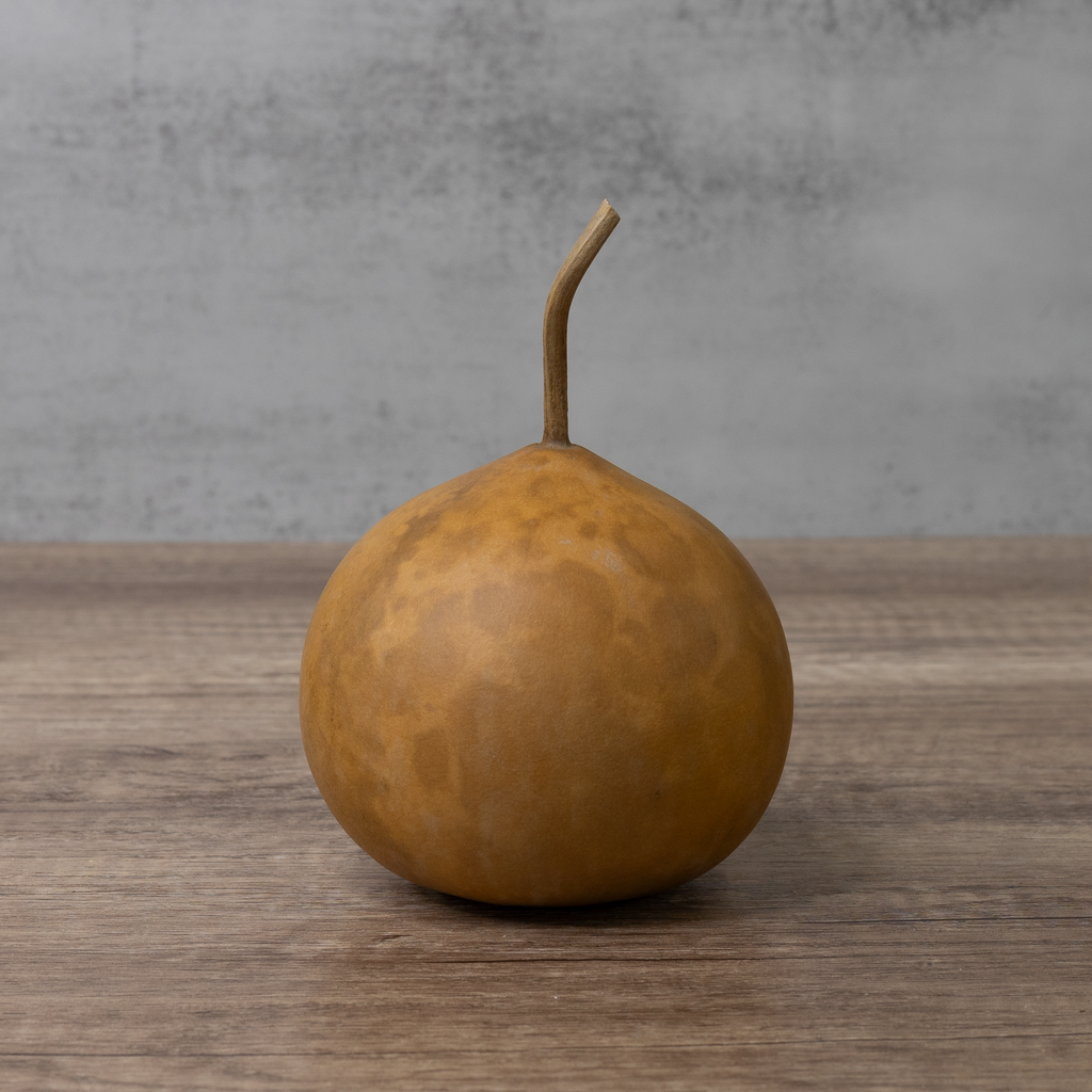 Dried Cannonball Gourd - 4" Diameter