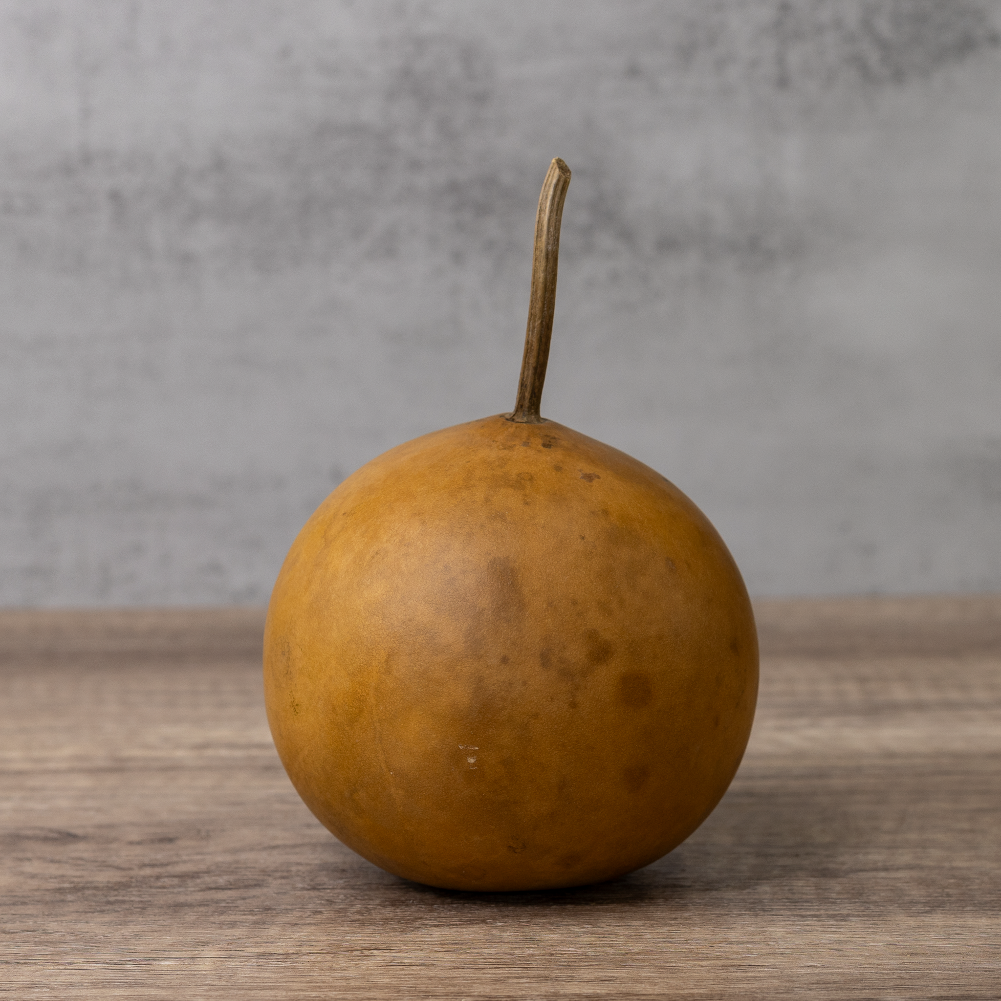 Dried Cannonball Gourd - 4" Diameter