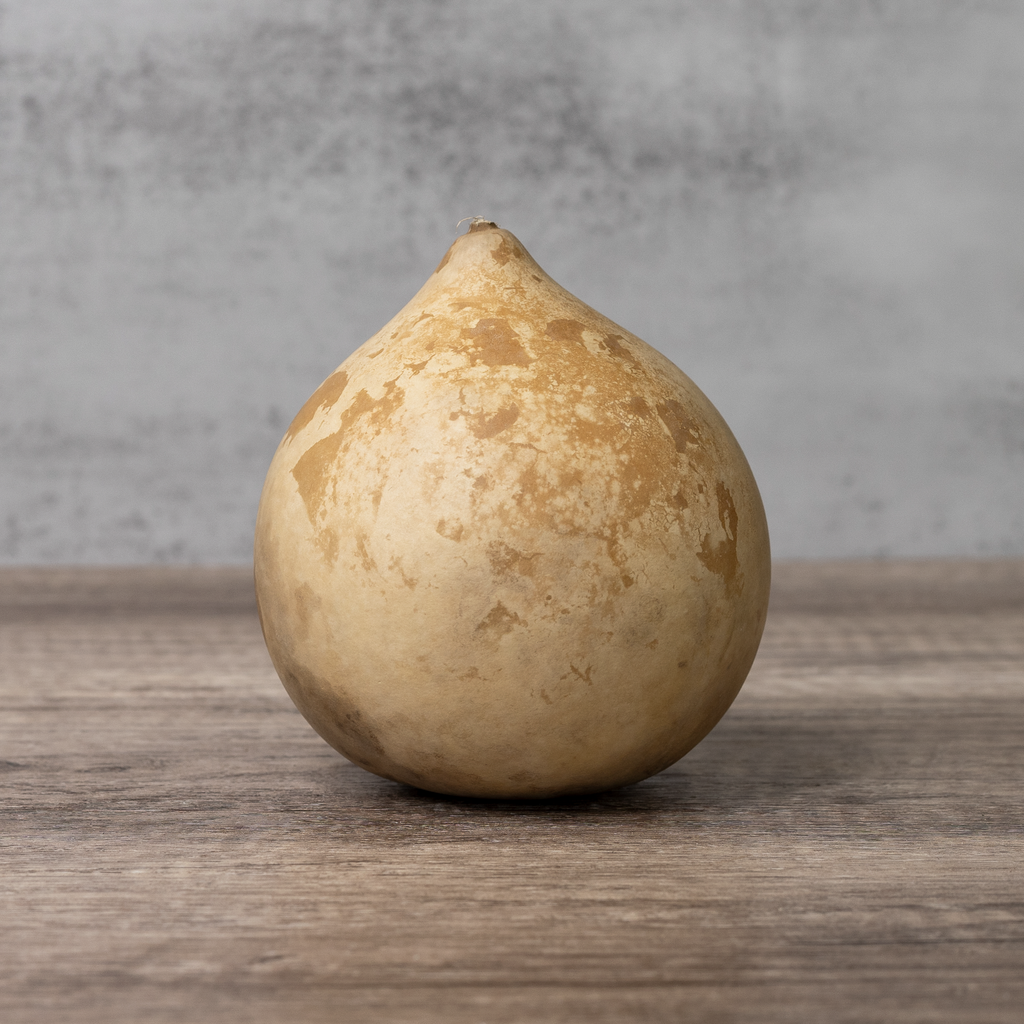 Dried Cannonball Gourd - 4" Diameter