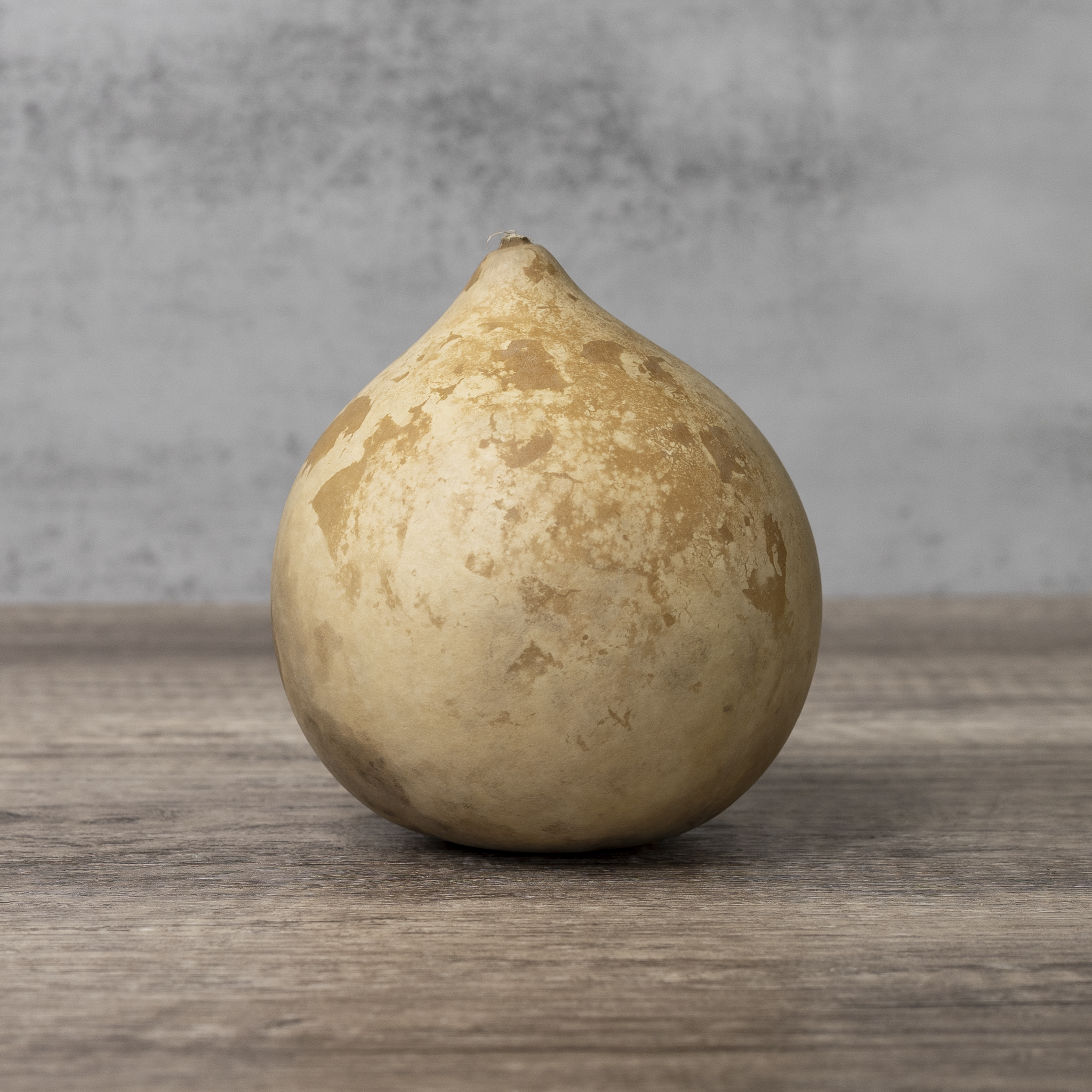 Dried Cannonball Gourd - 4" Diameter