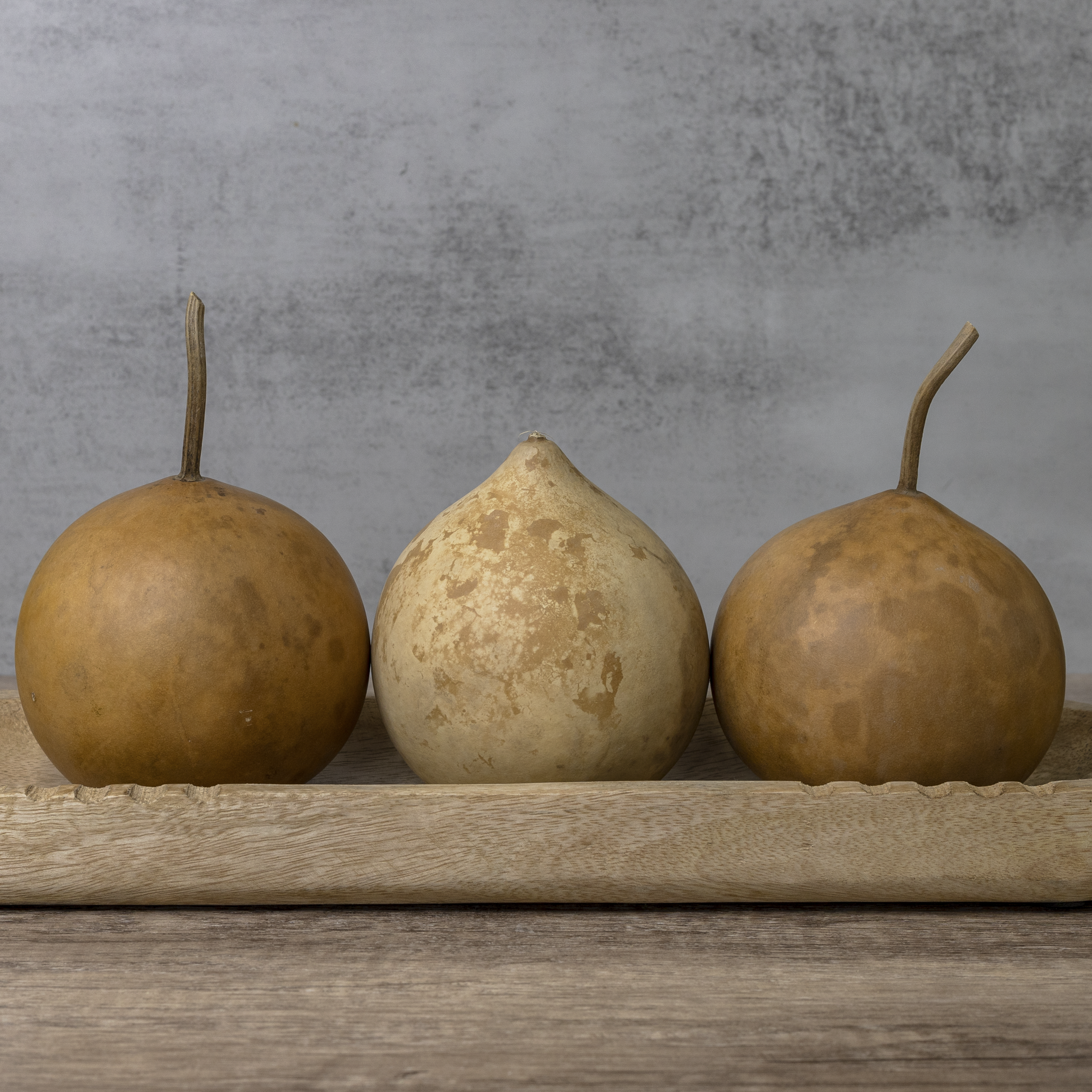 Dried Cannonball Gourd - 4" Diameter