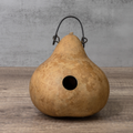 Dried Cabin Birdhouse Gourd