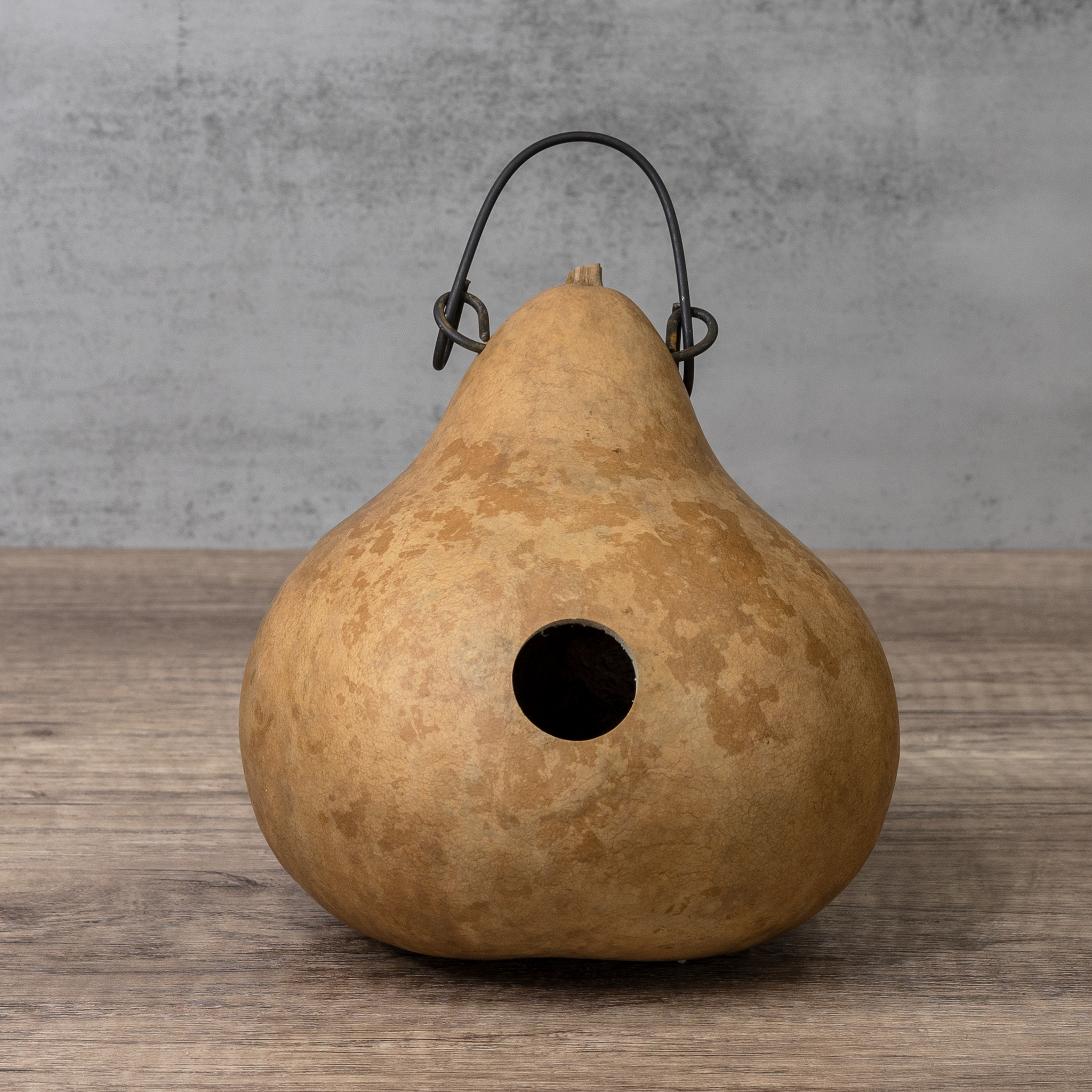 Dried Cabin Birdhouse Gourd