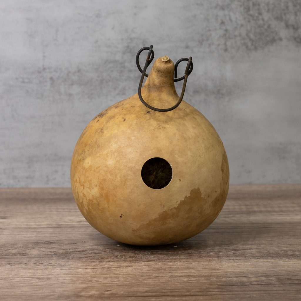 Dried Cabin Birdhouse Gourd