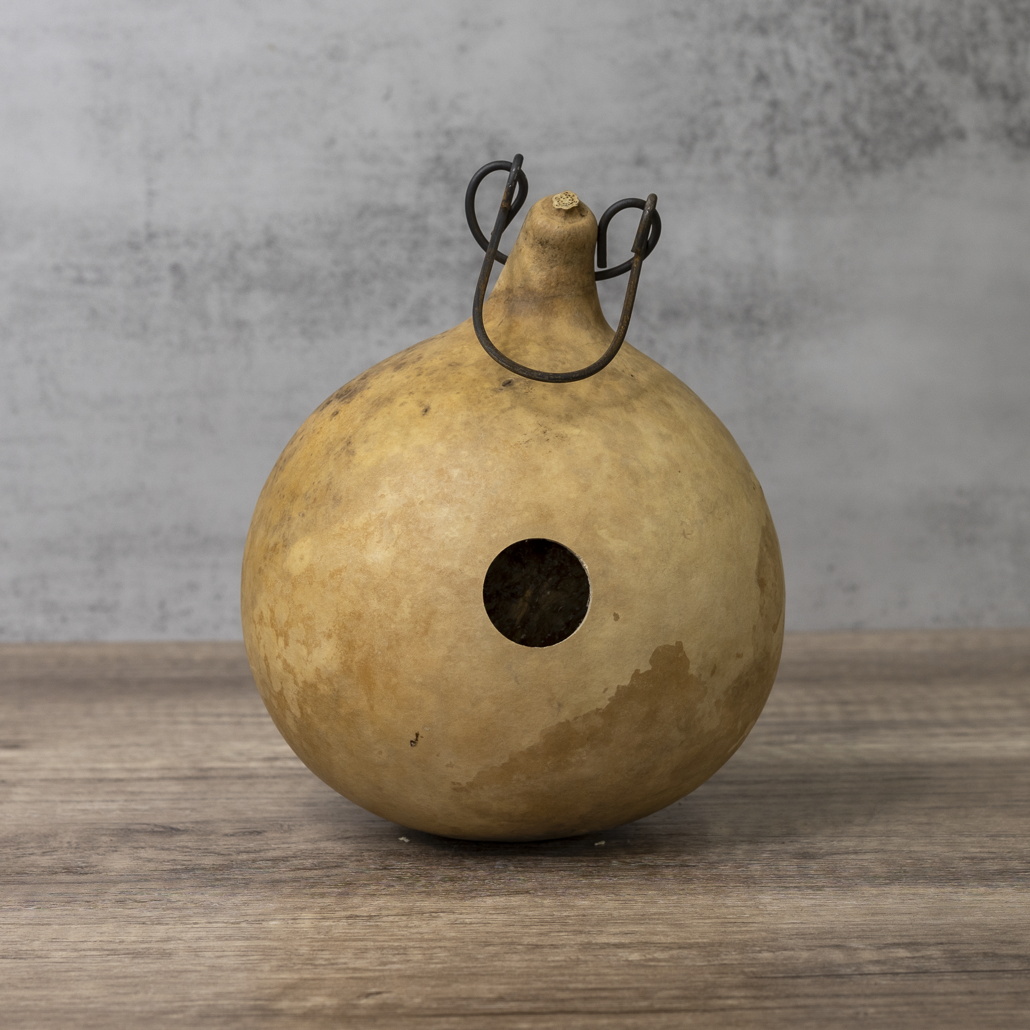 Dried Cabin Birdhouse Gourd