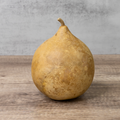 Dried Cannonball Gourd - 5" Diameter