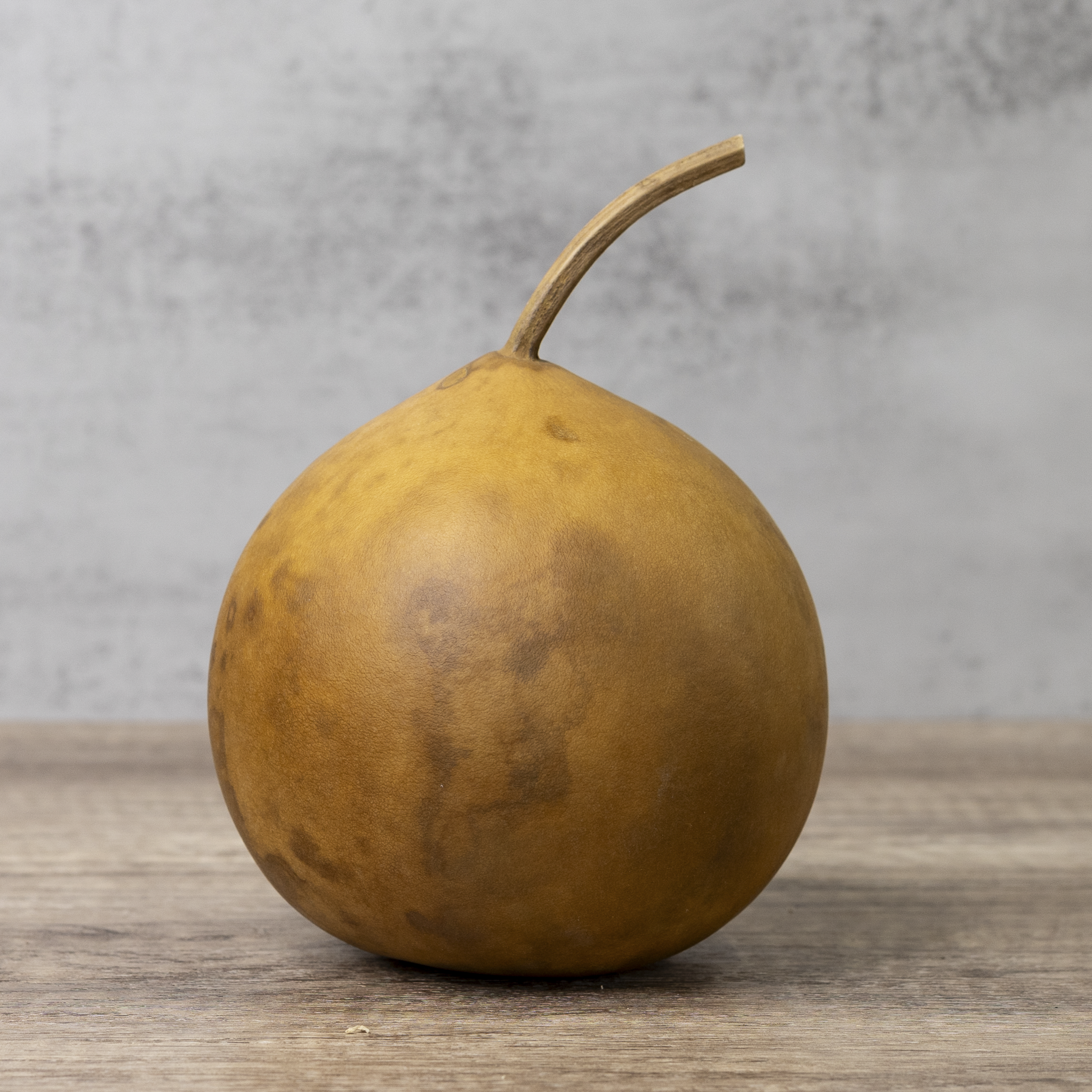 Dried Cannonball Gourd - 5" Diameter