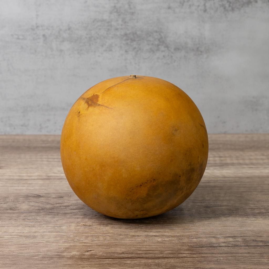 Dried Cannonball Gourd - 5" Diameter