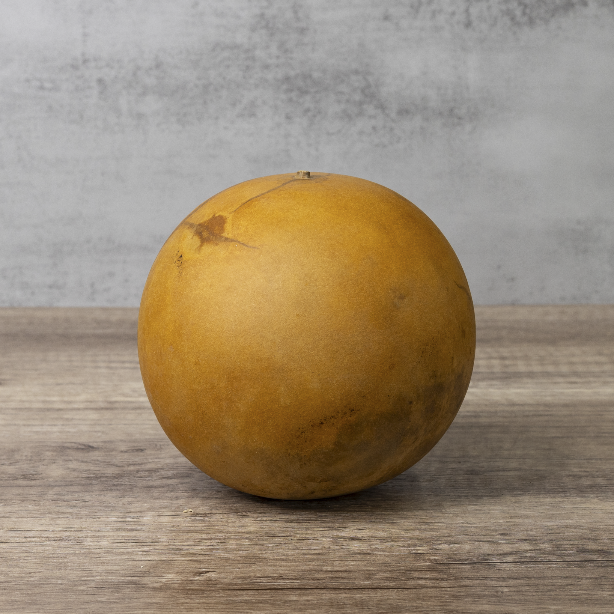 Dried Cannonball Gourd - 5" Diameter