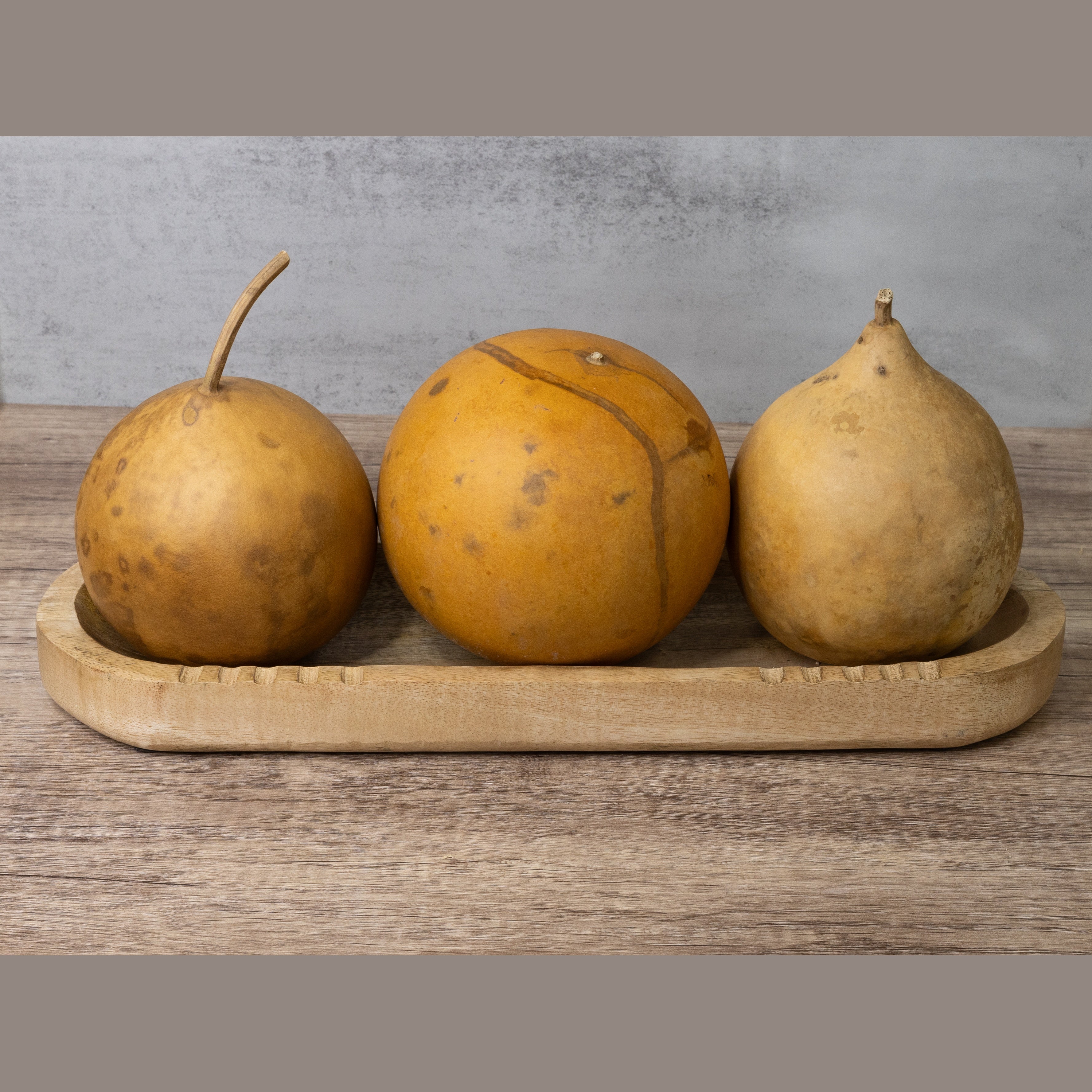 Dried Cannonball Gourd - 5" Diameter