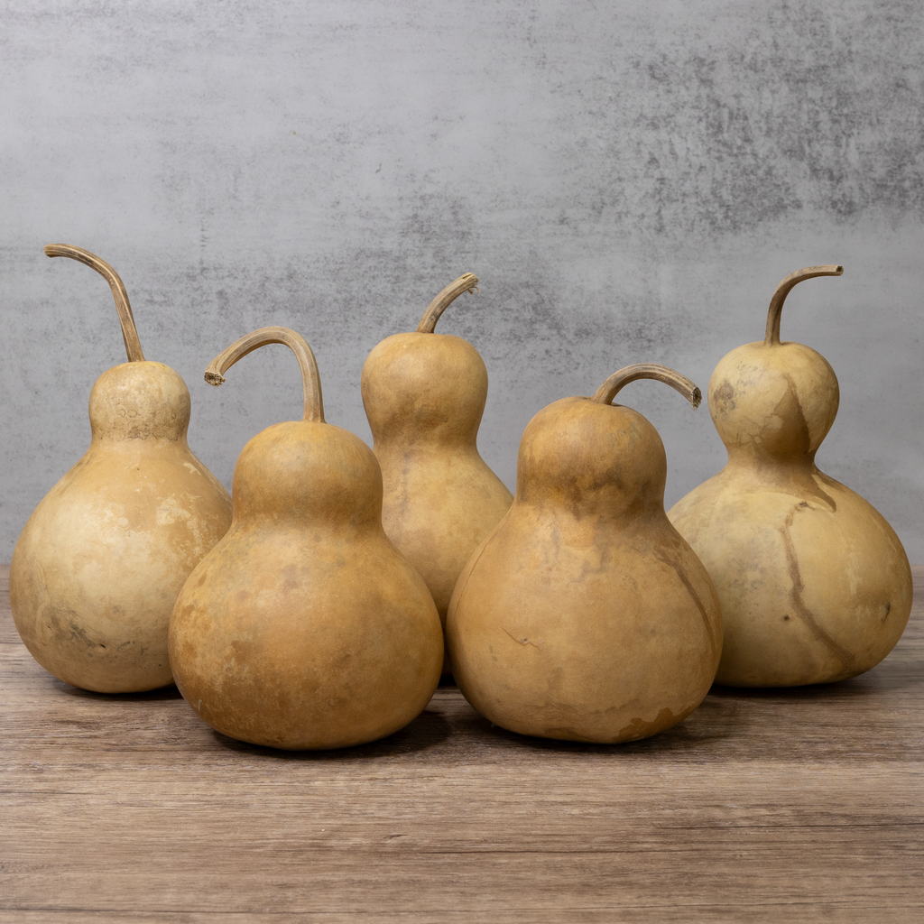 Dried Bottle Gourd - 4" in Diameter