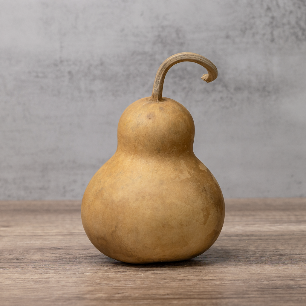 Dried Bottle Gourd - 4" in Diameter