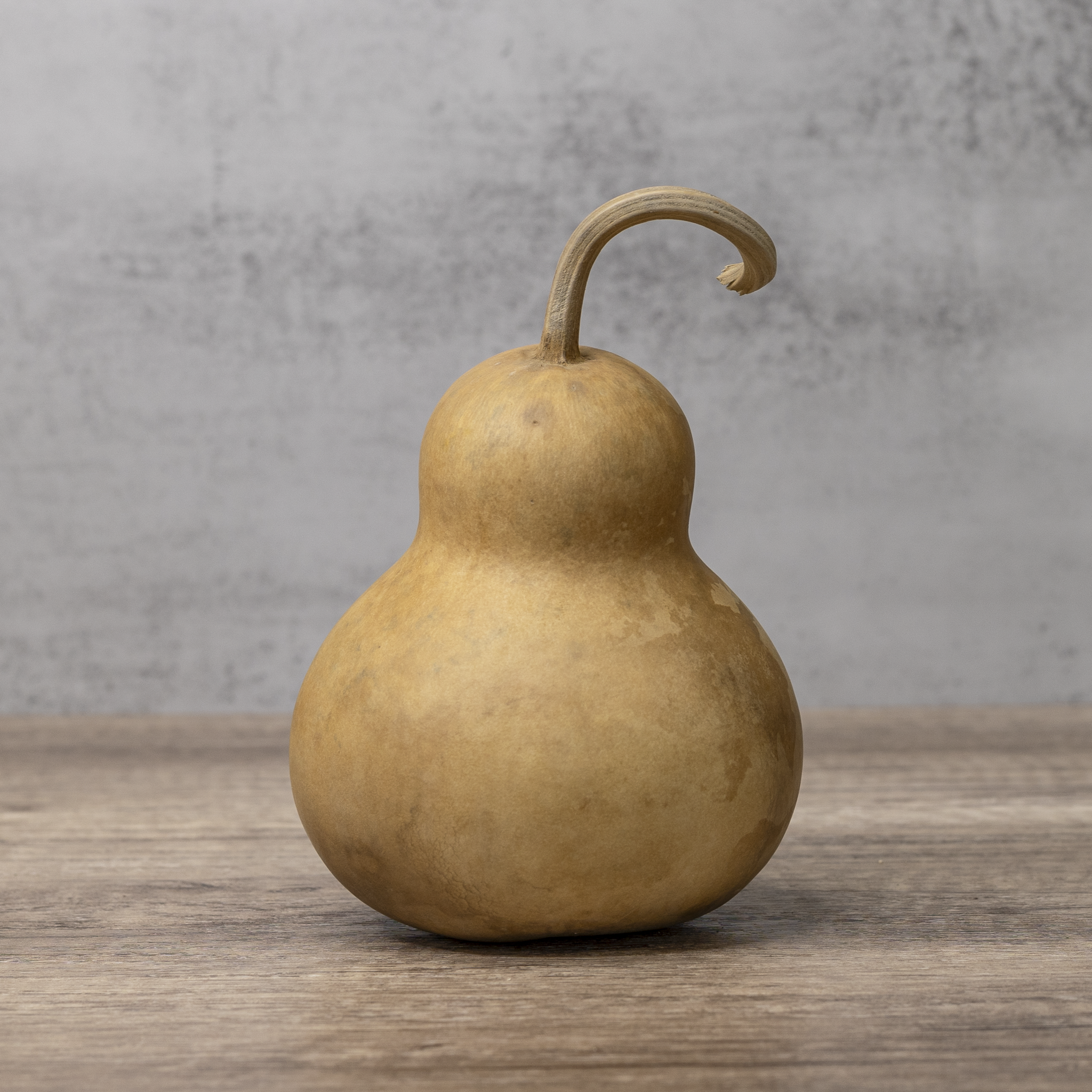 Dried Bottle Gourd - 4" in Diameter