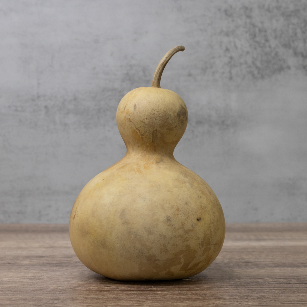 Dried Bottle Gourd - 4" in Diameter