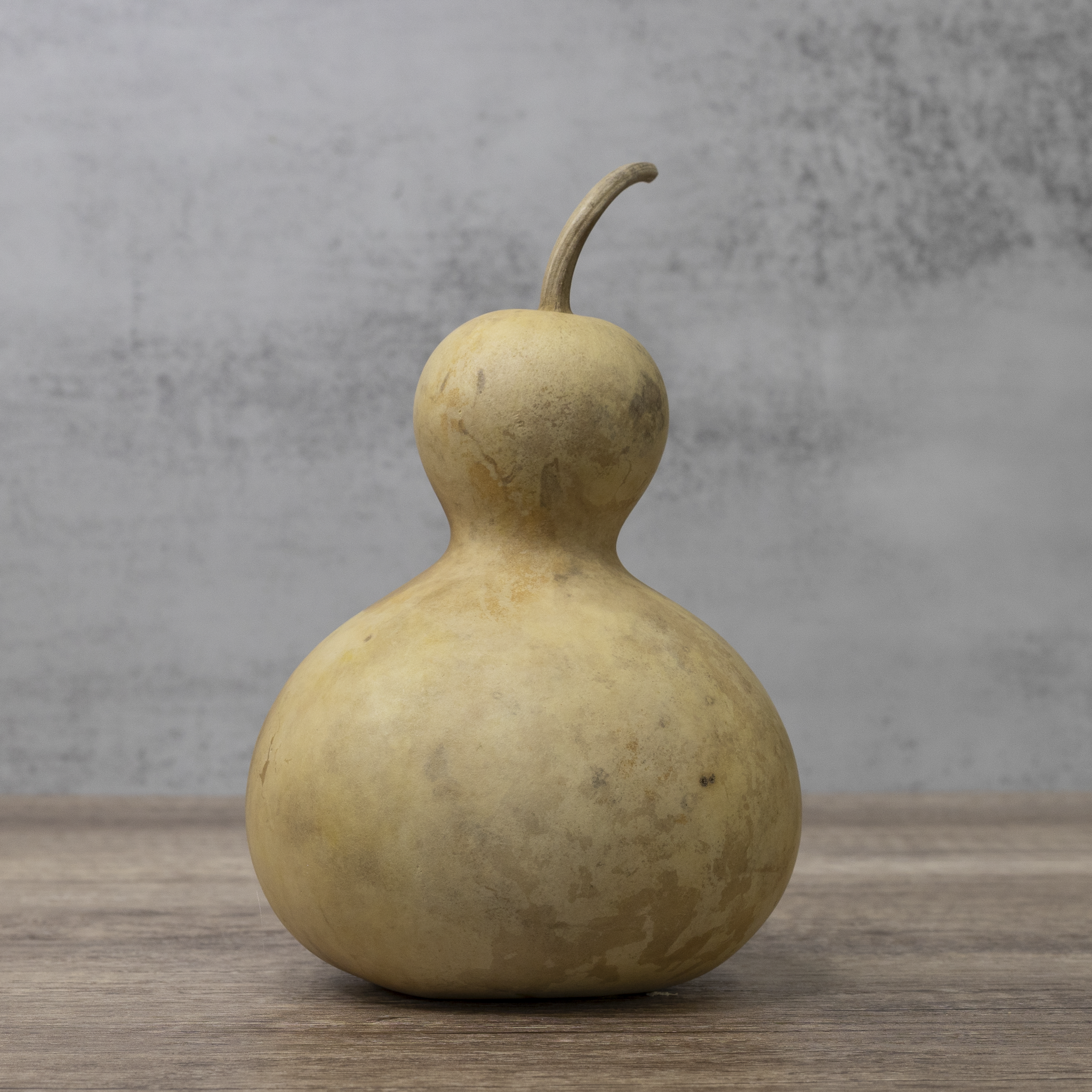 Dried Bottle Gourd - 4" in Diameter