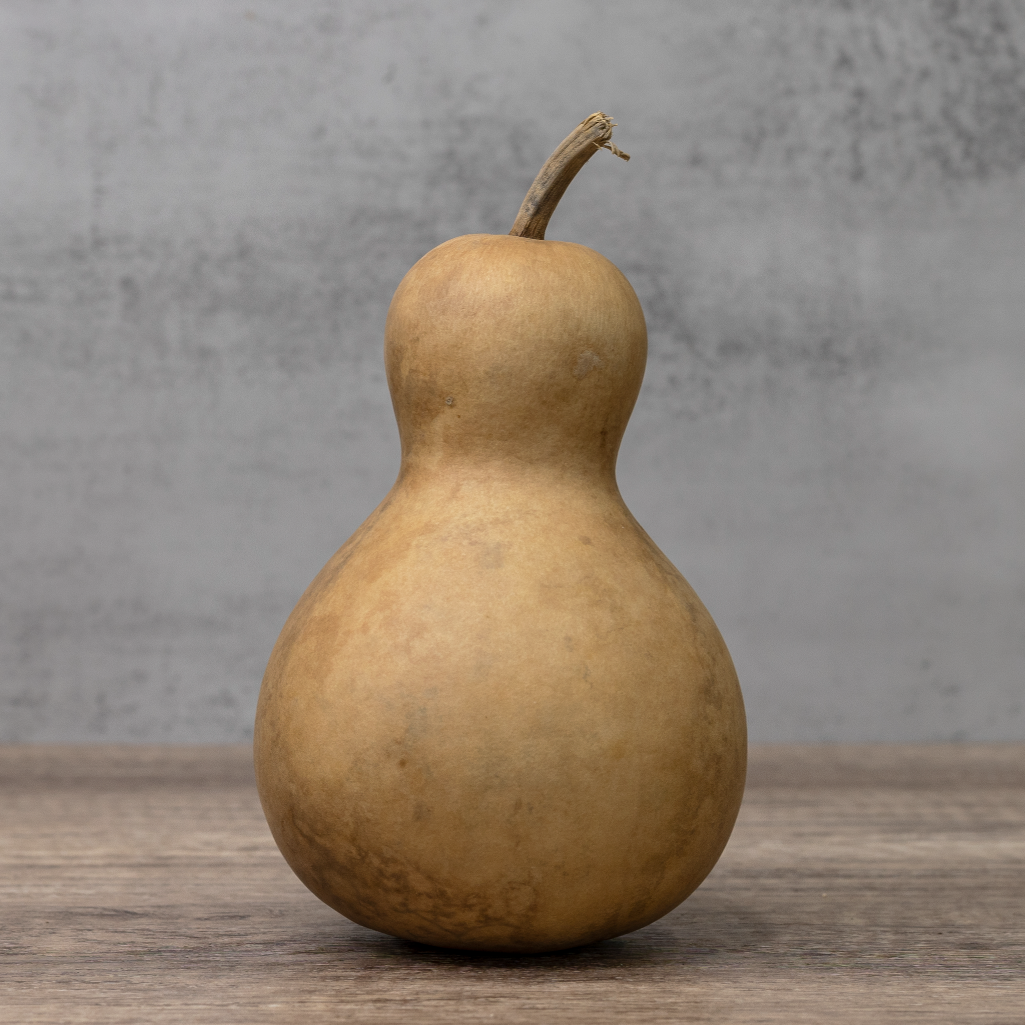 Dried Bottle Gourd - 4" in Diameter