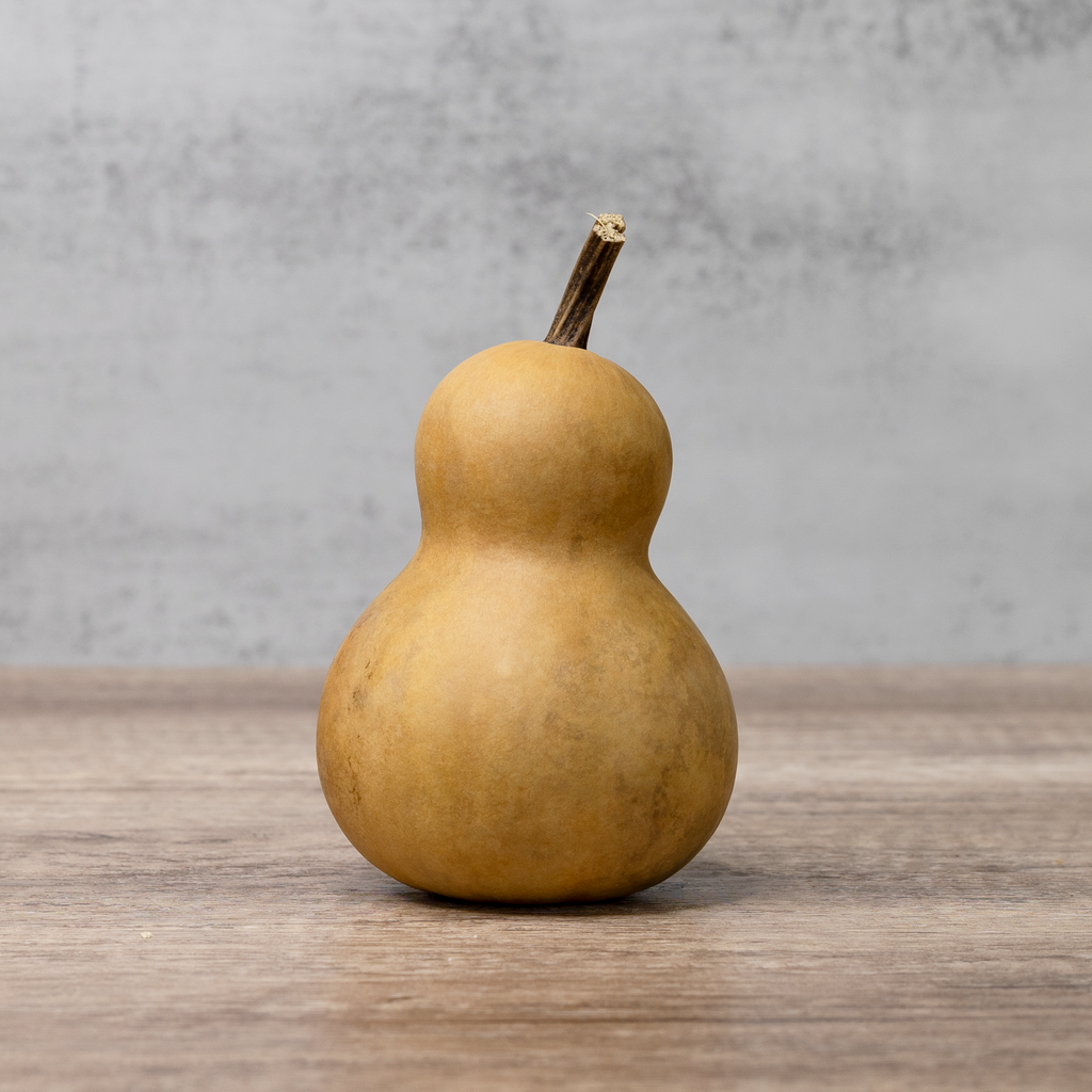 Dried Bottle Gourd - 3" in Diameter