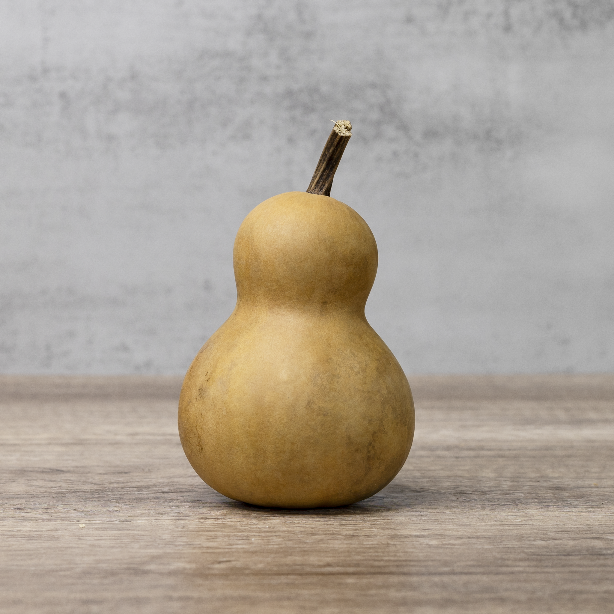 Dried Bottle Gourd - 3" in Diameter