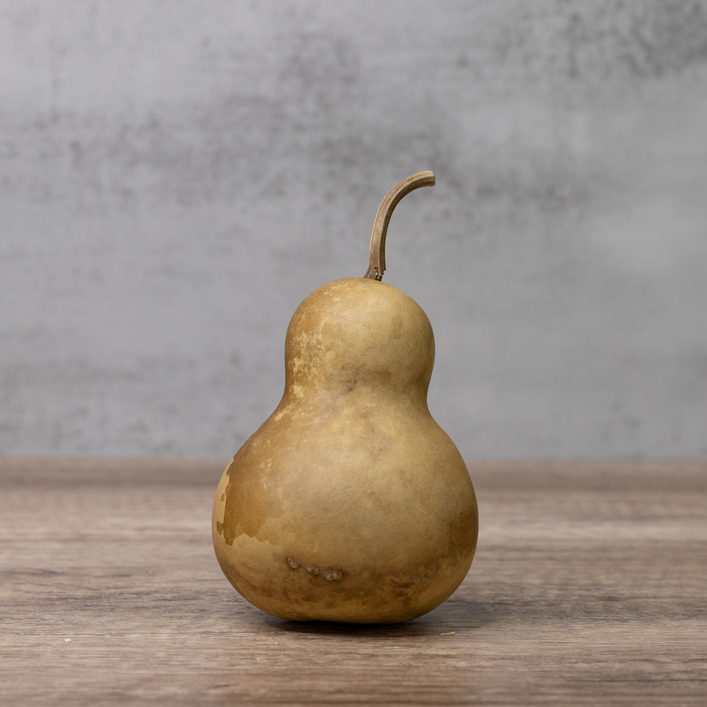 Dried Bottle Gourd - 3" in Diameter