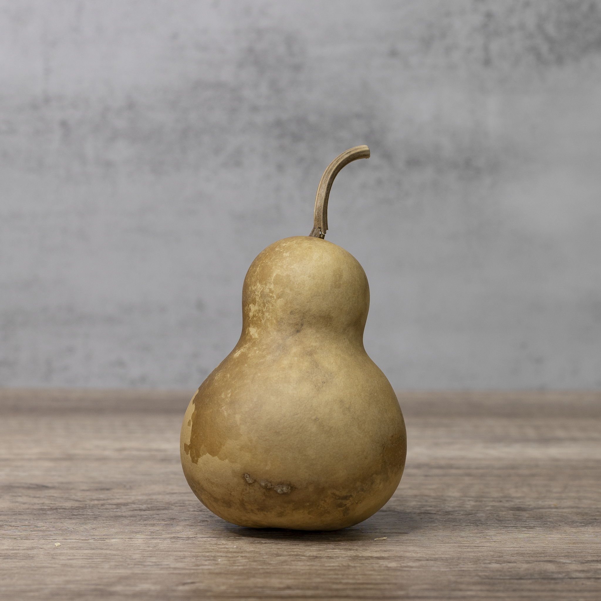 Dried Bottle Gourd - 3" in Diameter
