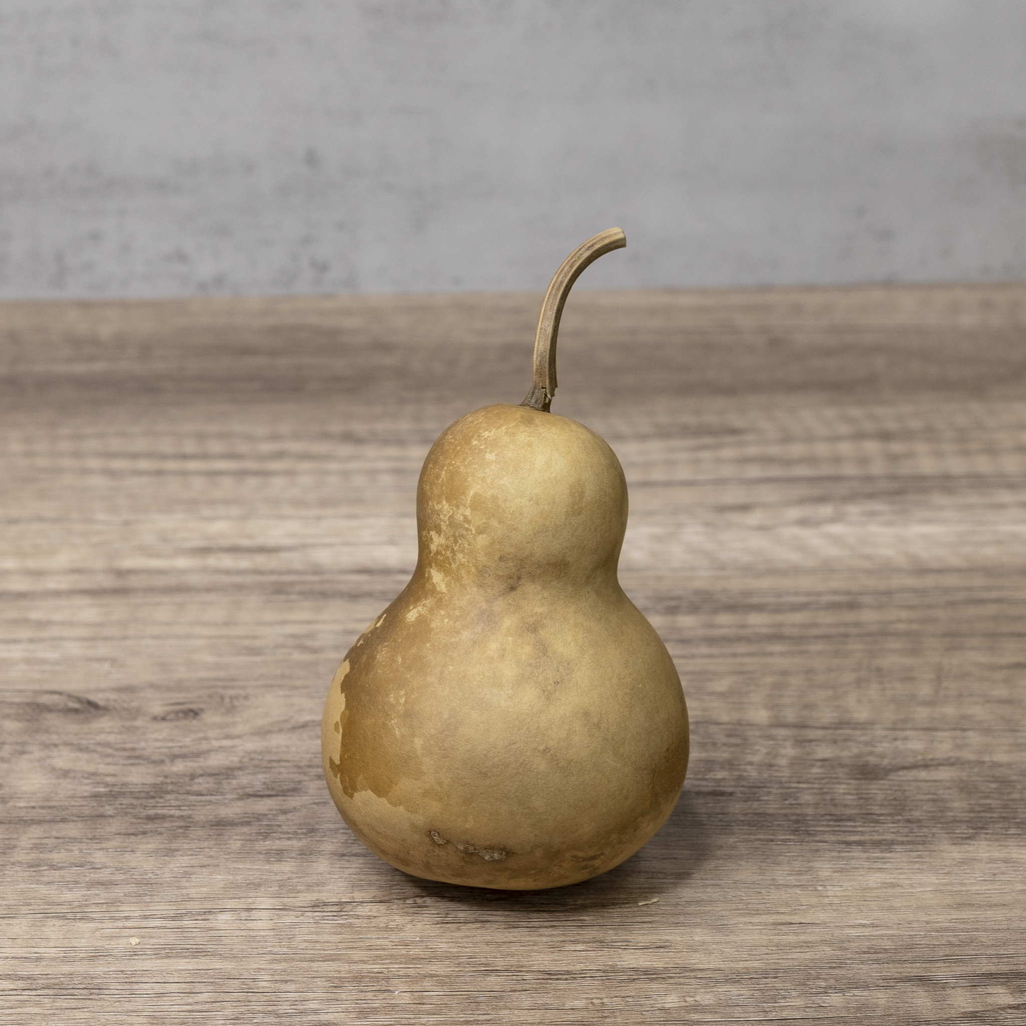 Dried Bottle Gourd - 3" in Diameter