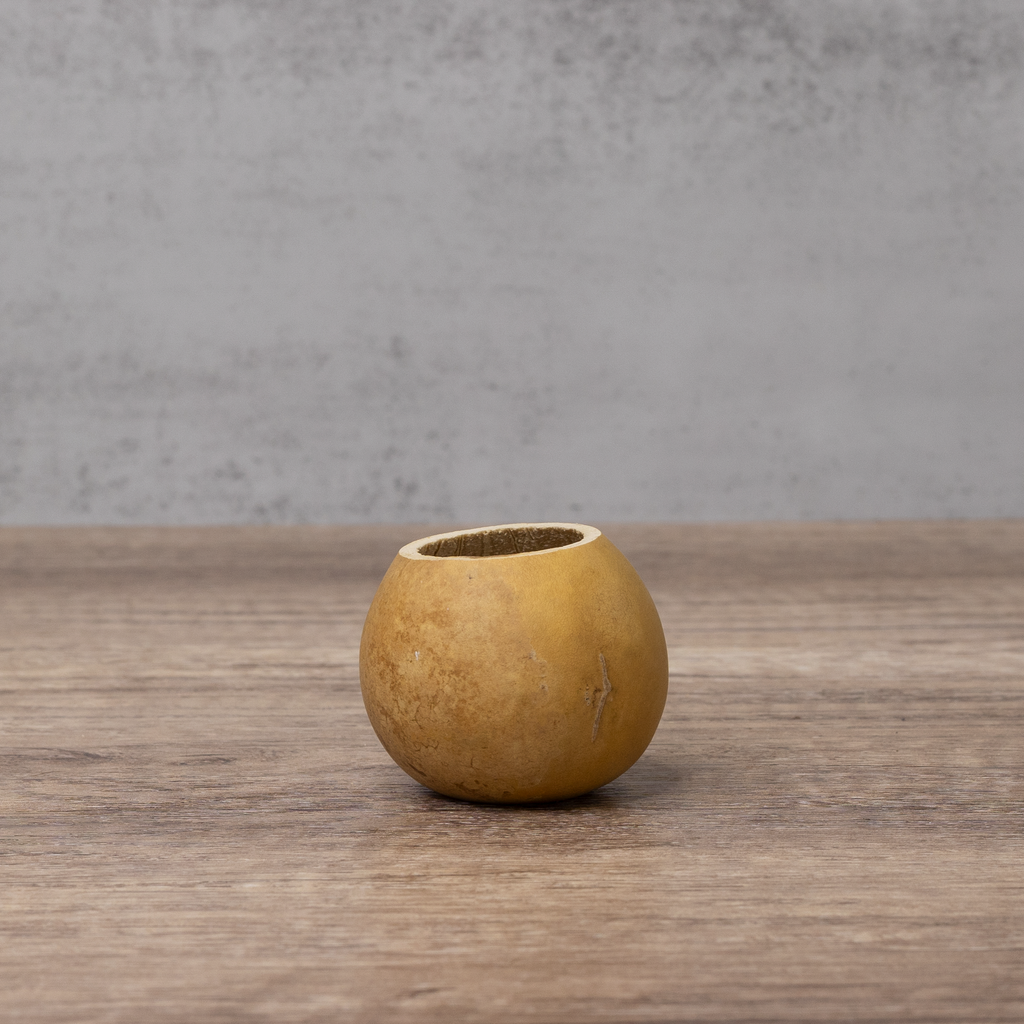 Dried 2" Straight Cut Gourd Bowl