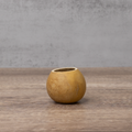 Dried 2" Straight Cut Gourd Bowl