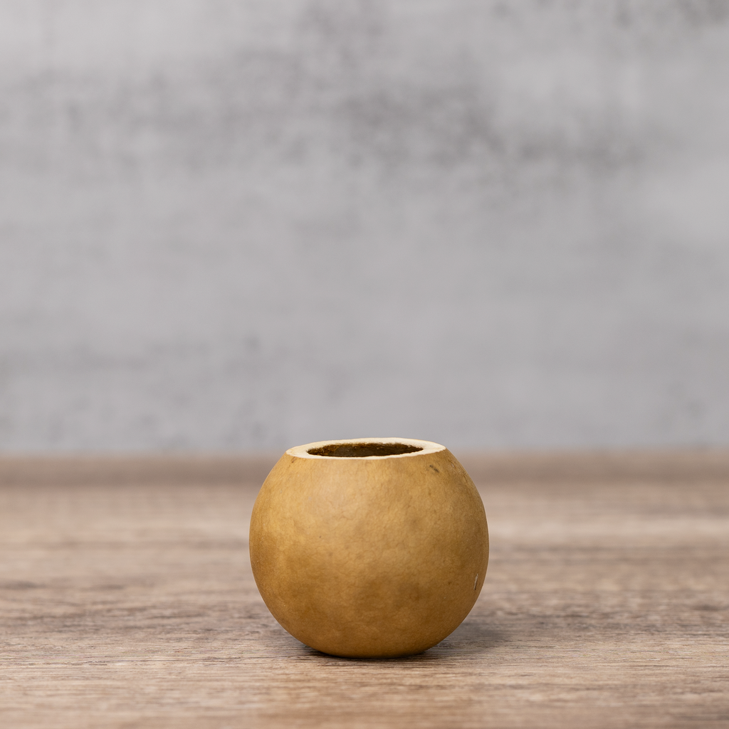Dried 2" Straight Cut Gourd Bowl