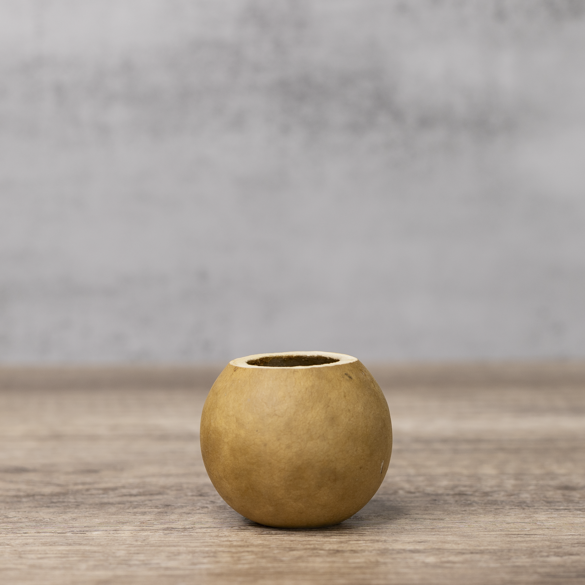 Dried 2" Straight Cut Gourd Bowl