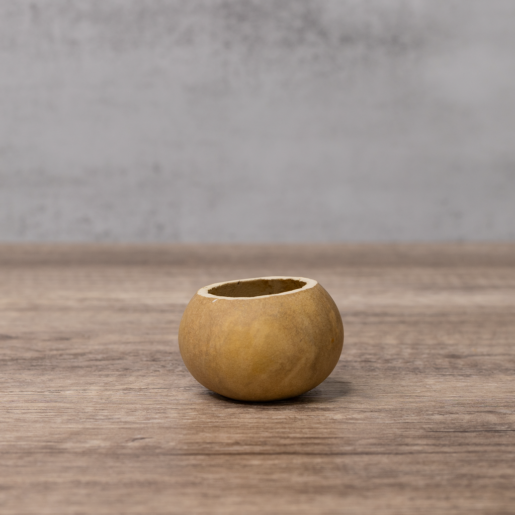 Dried 2" Straight Cut Gourd Bowl