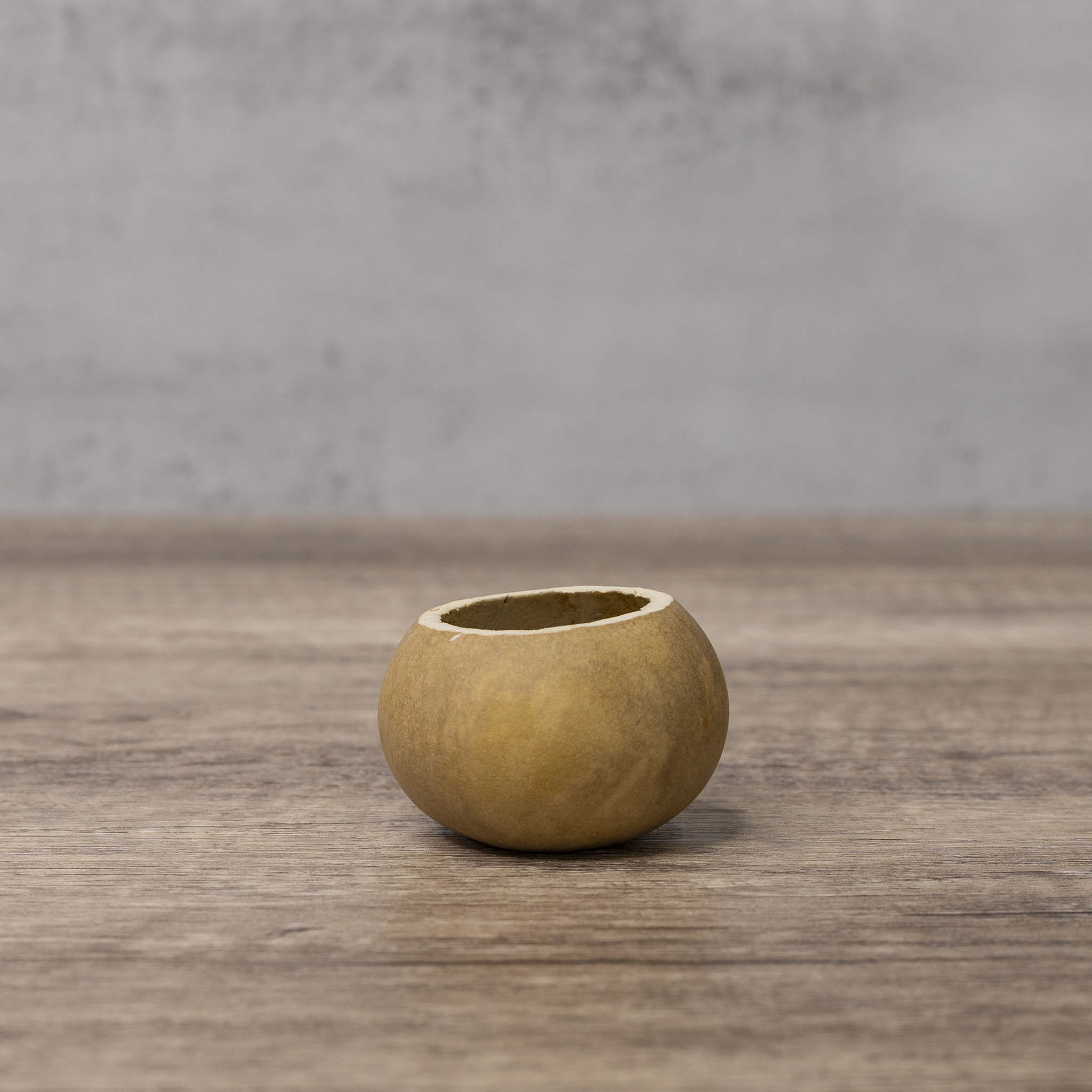 Dried 2" Straight Cut Gourd Bowl