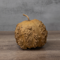 Dried Warty Gourd