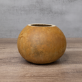 Dried 6" Straight Cut Gourd Bowl