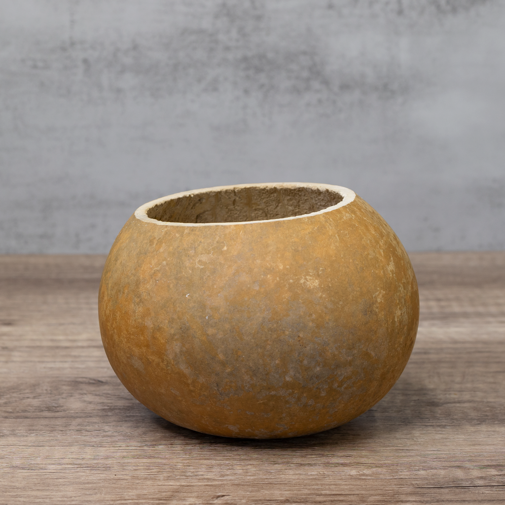Dried 6" Straight Cut Gourd Bowl