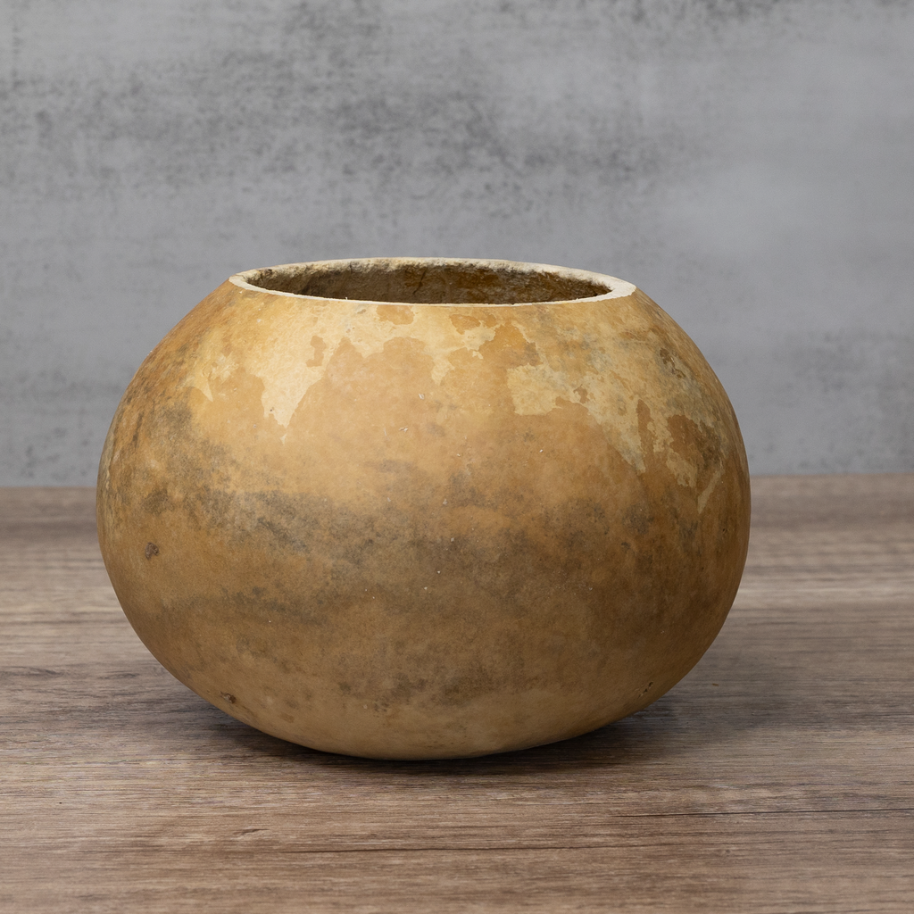 Dried 6" Straight Cut Gourd Bowl