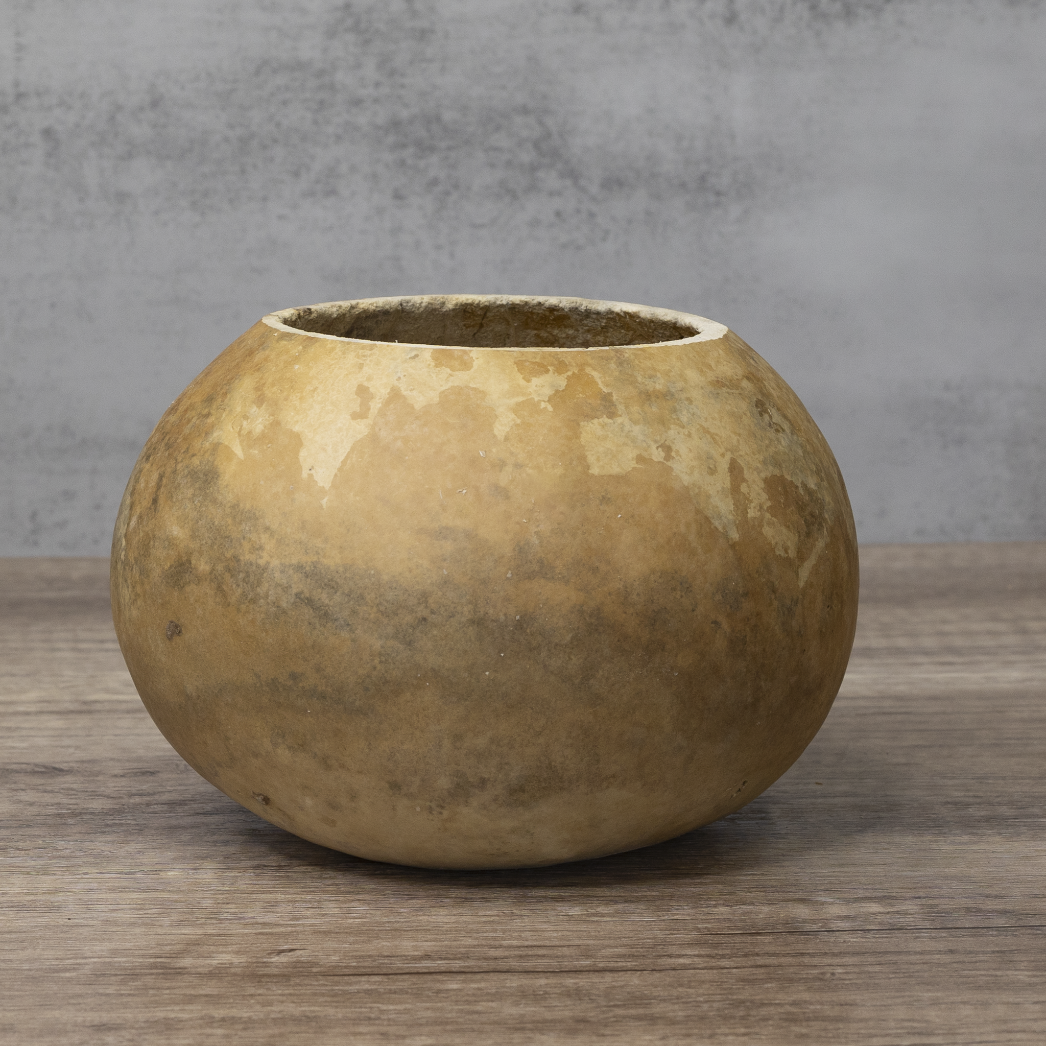 Dried 6" Straight Cut Gourd Bowl