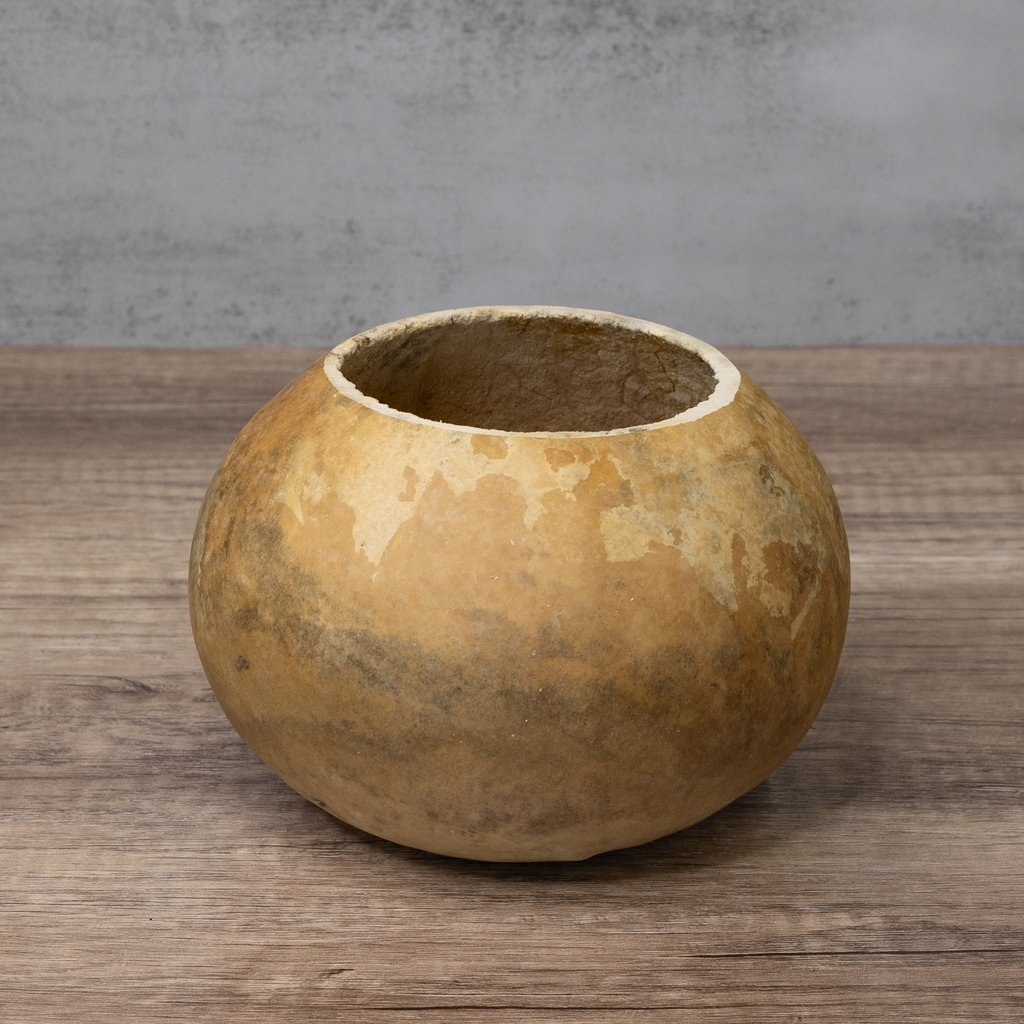 Dried 6" Straight Cut Gourd Bowl