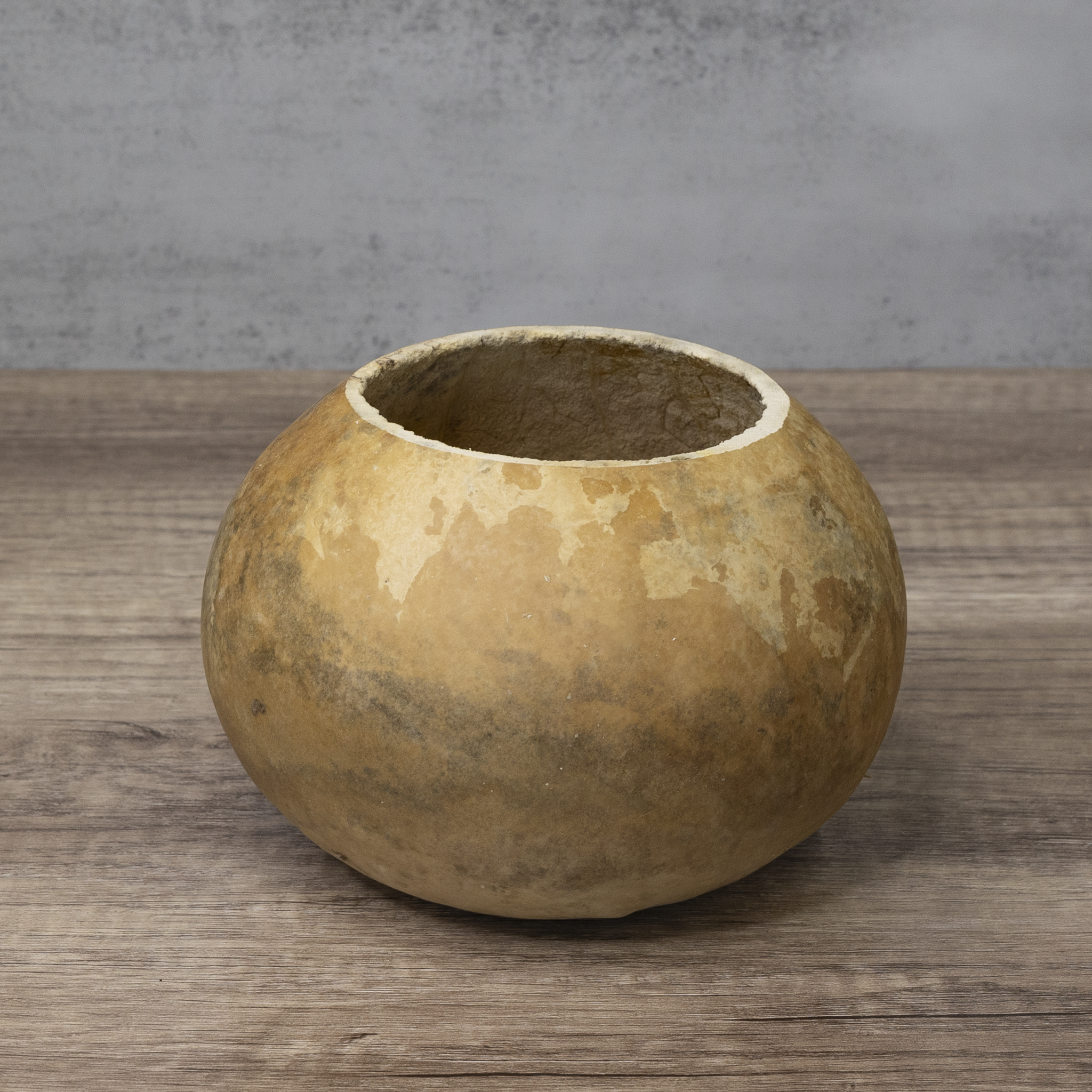 Dried 6" Straight Cut Gourd Bowl